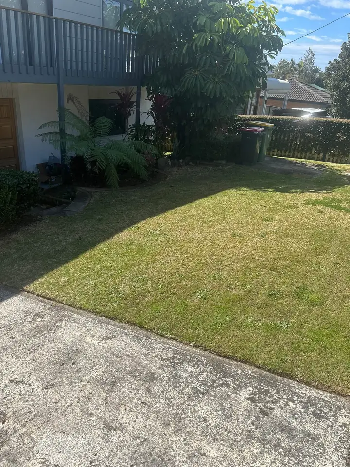 After: the same backyard cut back, cleared and mown