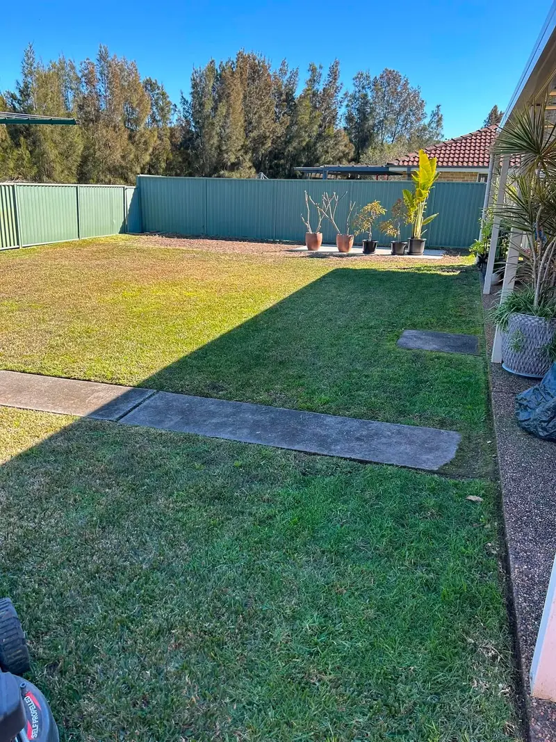 A backyard lawn mown neatly to the fence line