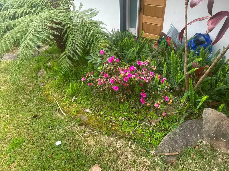 A weeded garden bed with pink flowers and a tidy edge