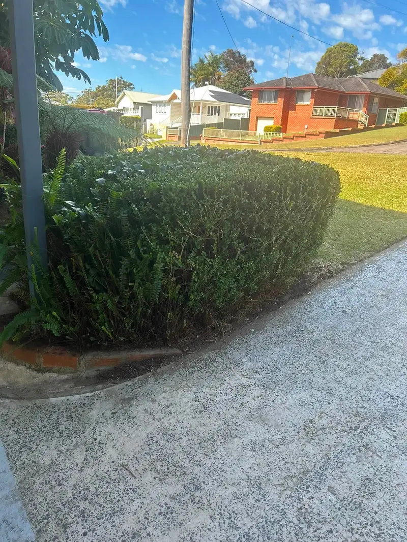 A street-front hedge trimmed square beside the footpath