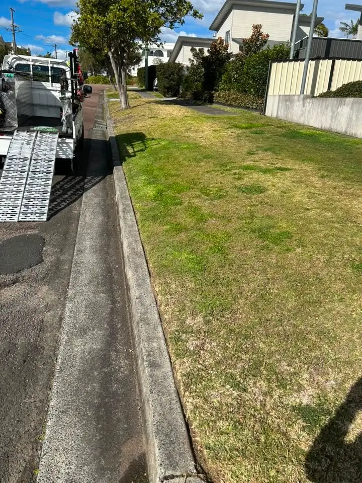 A front lawn edged sharply along a concrete driveway