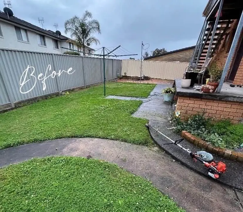 A backyard before a Coast Care clean-up, lawn overgrown and paths hidden
