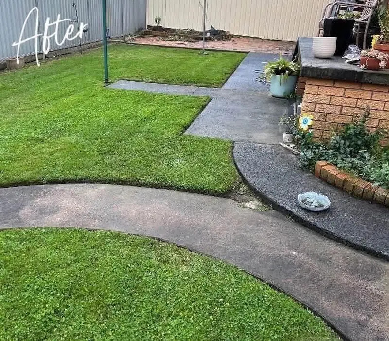 The same backyard after a Coast Care clean-up, lawn mown and paths cleared